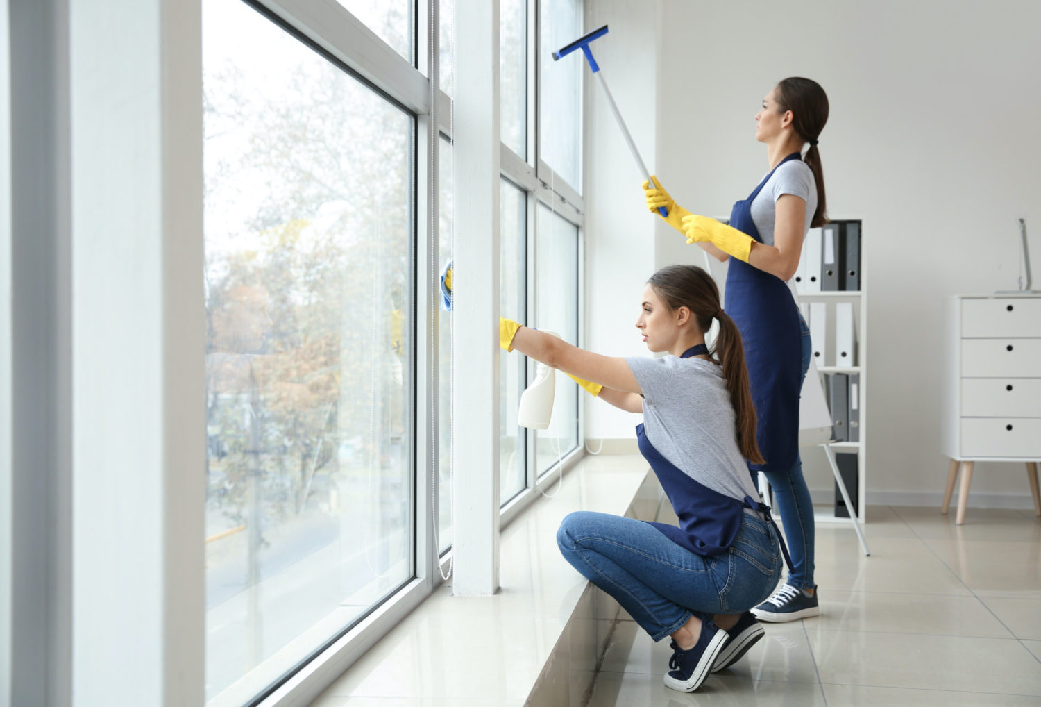 Dallas Commercial Window Cleaners professional team providing commercial window washing services in Dallas, TX